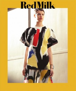 11 redmilk cover february az8azv