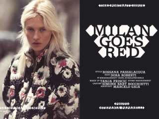 Milan Gallery