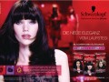 13  Schwarzkopf