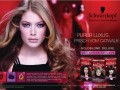 14 Schwarzkopf