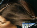headshoulders  004 
