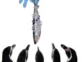 53 PENGUINS  tatler