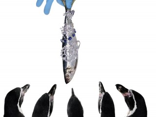 Frozen Jewels