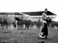 70 mexico rodeo